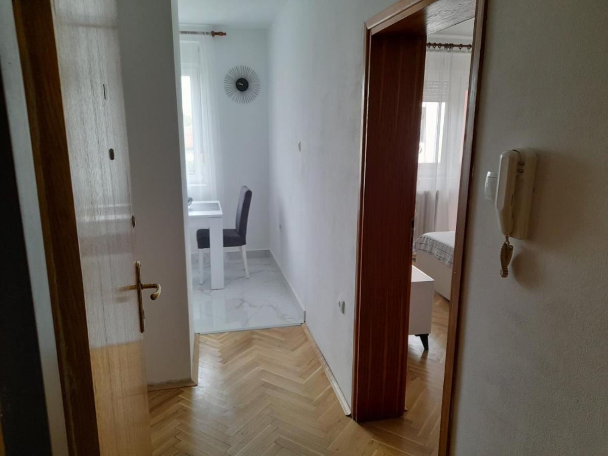 Nikola Ns2 Lejlighed Novi Sad Eksteriør billede